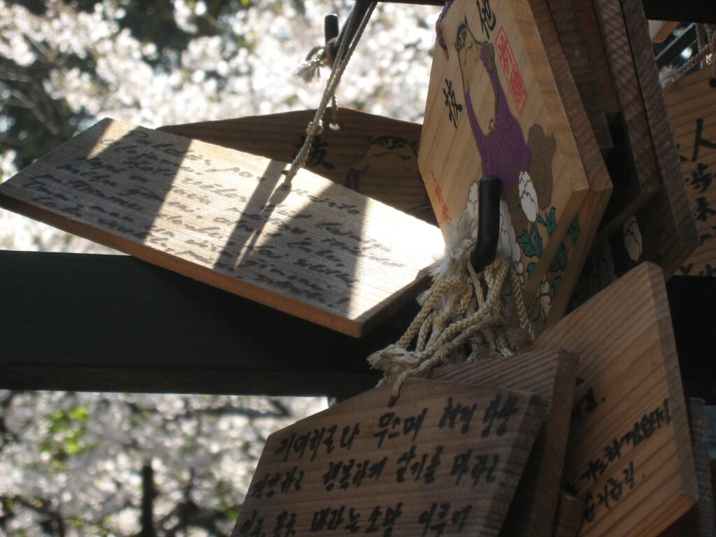 Cherry blossom in Ueno Park